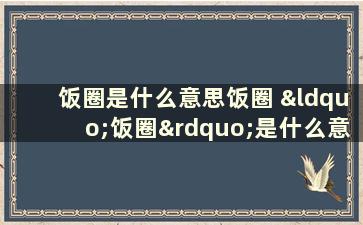 饭圈是什么意思饭圈 “饭圈”是什么意思